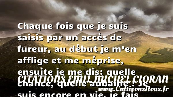Chaque fois que je suis - Citations Emil Michel Cioran - Citation sur la vie