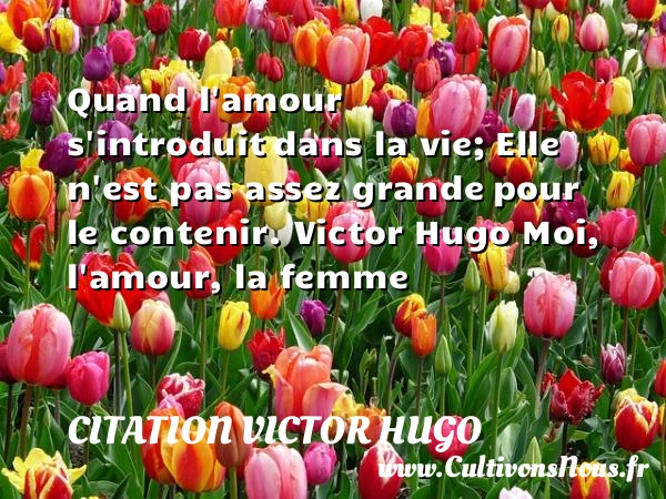 Quand l’amour s’introduit - citation Victor Hugo - Citation sur la vie