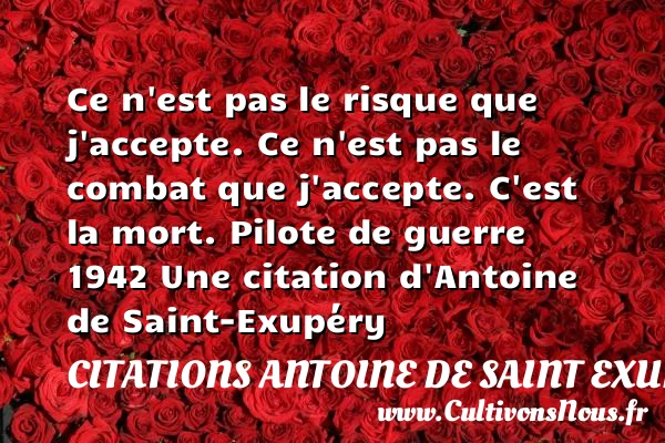 Ce n’est pas le risque que - Citations Antoine de Saint Exupéry - Citation risque