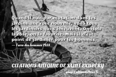 Quand il naît par mutation dans les jardins une rose nouvelle, voilà tous les jardiniers qui s émeuvent. On isole la rose, on la favorise. Mais il n est point de jardinier pour les hommes. - Terre des hommes 1938 CITATIONS ANTOINE DE SAINT EXUPÉRY