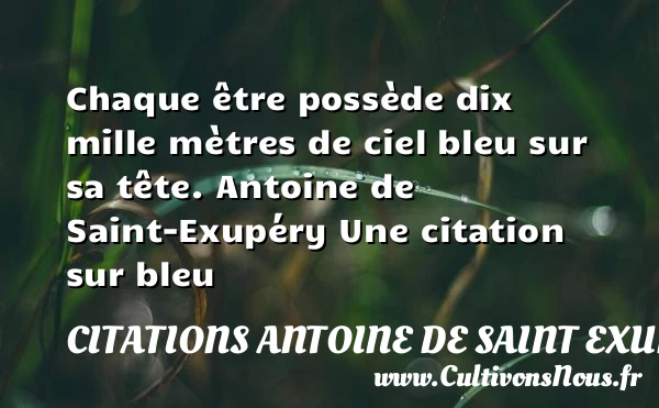 Chaque être possède dix mille - Citations Antoine de Saint Exupéry - Citation bleu