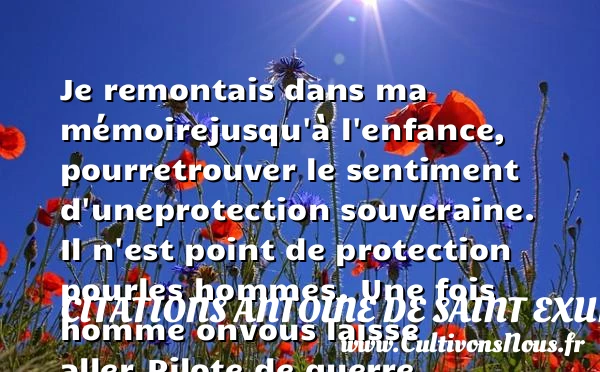 Je remontais dans ma mémoire - Citations Antoine de Saint Exupéry