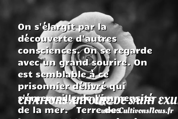 On s’élargit par la découverte - Citations Antoine de Saint Exupéry - Citations sourire