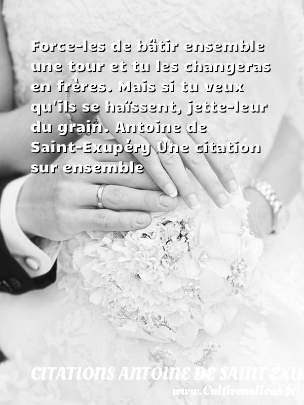 Force-les de batîr ensemble - Citations Antoine de Saint Exupéry - Citation ensemble - Citation frère