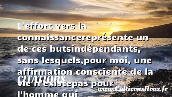 L’effort vers la connaissance - Citations - Citations Albert Einstein - Citation connaissance