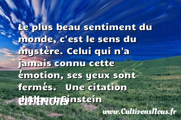 Le plus beau sentiment du - Citations - Citations Albert Einstein - Citation sentiment