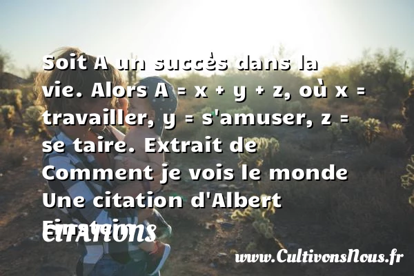 Extrait de Comment je vois le - Citations - Citations Albert Einstein - Citation travail