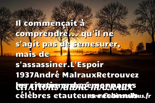 Il commençait à comprendre - Citations André Malraux - Citation comprendre