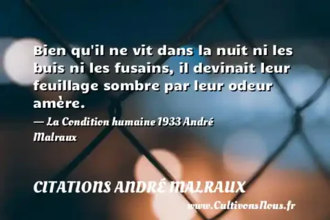 Bien qu il ne vit dans la nuit ni les buis ni les fusains, il devinait leur feuillage sombre par leur odeur amère. - La Condition humaine 1933 André Malraux CITATIONS ANDRÉ MALRAUX