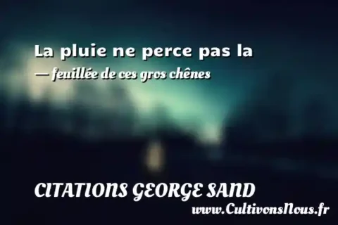 La pluie ne perce pas la - feuillée de ces gros chênes CITATIONS GEORGE SAND