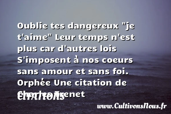 Oublie tes dangereux “je t’aime” - Citations - Citations Charles Trenet - Citation travail