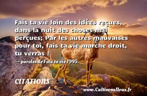 Fais ta vie loin des idées reçues, dans la nuit des choses mal perçues; Par les autres mauvaises pour toi, fais ta vie marche droit, tu verras ! - paroles de Fais ta vie 1995. CITATIONS