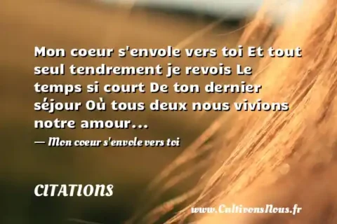 Mon coeur s envole vers toi Et tout seul tendrement je revois Le temps si court De ton dernier séjour Où tous deux nous vivions notre amour... - Mon coeur s envole vers toi CITATIONS