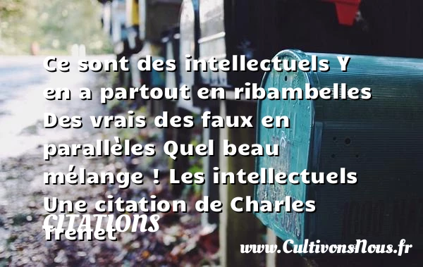 Ce sont des intellectuels - Citations - Citations Charles Trenet - Citation travail