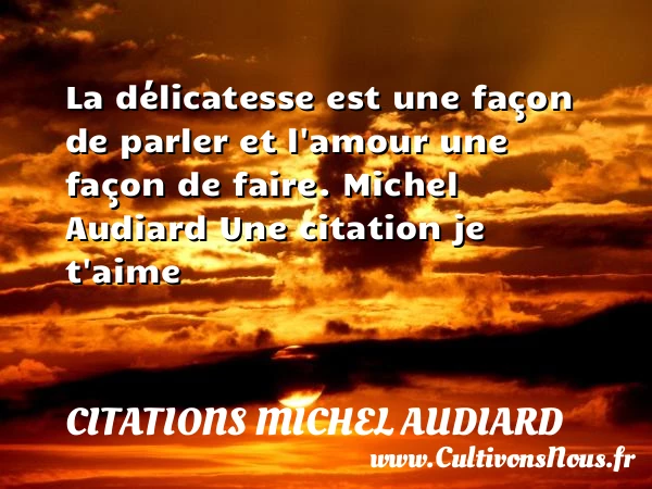 La délicatesse est une façon - Citations Michel Audiard - Citations je t aime