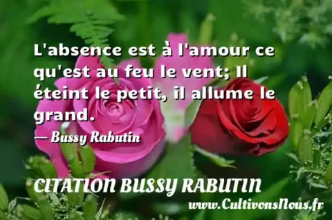 L absence est à l amour ce qu est au feu le vent; Il éteint le petit, il allume le grand. - Bussy Rabutin CITATION BUSSY RABUTIN