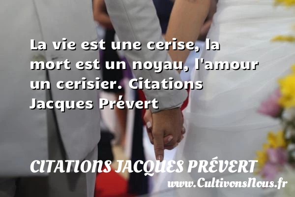 La vie est une cerise - Citations Jacques Prévert - Citation sur la vie - Citations je t aime - Proverbe amour