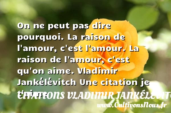 On ne peut pas dire pourquoi. - Citations Vladimir Jankélévitch - Citations je t aime