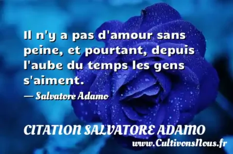 Il n y a pas d amour sans peine, et pourtant, depuis l aube du temps les gens s aiment. - Salvatore Adamo CITATION SALVATORE ADAMO