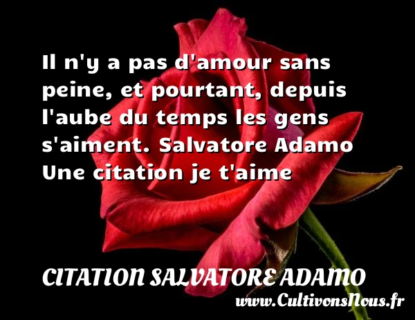 Il n’y a pas d’amour sans - Citation Salvatore Adamo - Citations je t aime