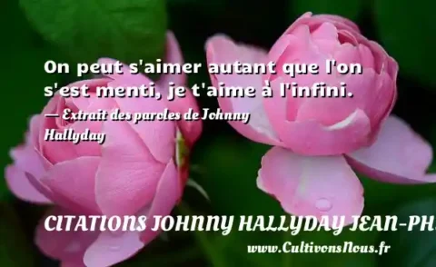 On peut s aimer autant que l on s est menti, je t aime à l infini. - Extrait des paroles de Johnny Hallyday CITATIONS JOHNNY HALLYDAY JEAN-PHILIPPESMET