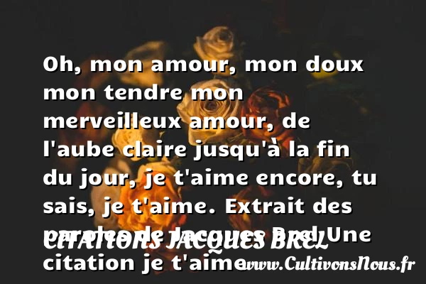Oh, mon amour, mon doux mon - Citations Jacques Brel - Citations je t aime