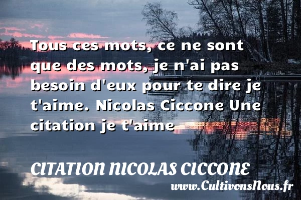 Tous ces mots, ce ne sont que - Citation Nicolas Ciccone - Citations je t aime