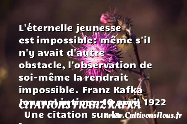 L’éternelle jeunesse est - Citations Franz Kafka - Citation Jeunesse