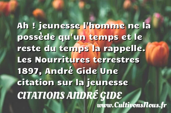 Ah ! jeunesse - Citations André Gide - Citation Jeunesse