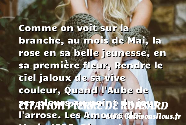 Comme on voit sur la branche, - Citation Pierre de Ronsard - Citation Jeunesse