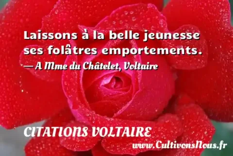 Laissons à la belle jeunesse ses folâtres emportements. - A Mme du Châtelet, Voltaire CITATIONS VOLTAIRE