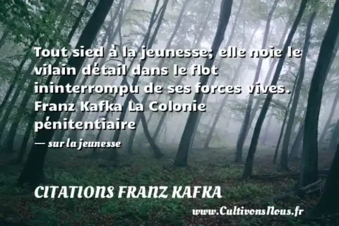 Tout sied à la jeunesse; elle noie le vilain détail dans le flot ininterrompu de ses forces vives. Franz Kafka La Colonie pénitentiaire   - sur la jeunesse CITATIONS FRANZ KAFKA