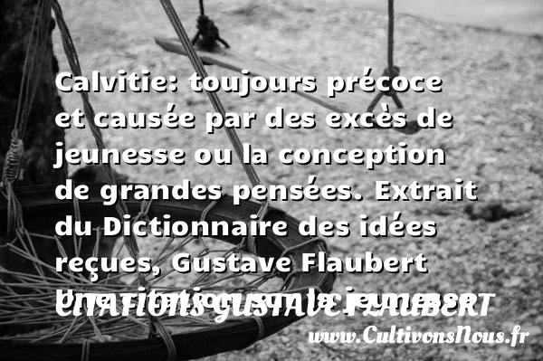 Calvitie: toujours précoce - Citations Gustave Flaubert - Citation Jeunesse