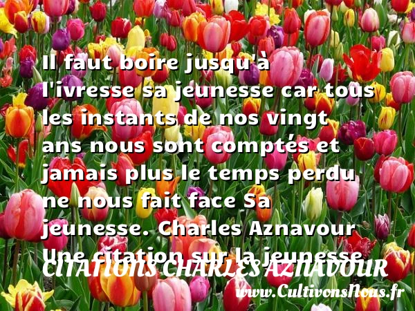 Il faut boire jusqu’à - Citations Charles Aznavour - Citation boire - Citation Jeunesse