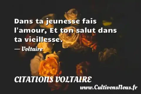 Dans ta jeunesse fais l amour, Et ton salut dans ta vieillesse. - Voltaire CITATIONS VOLTAIRE