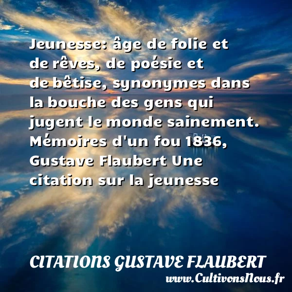 Jeunesse: âge de folie et de - Citations Gustave Flaubert - Citation folie - Citation Jeunesse