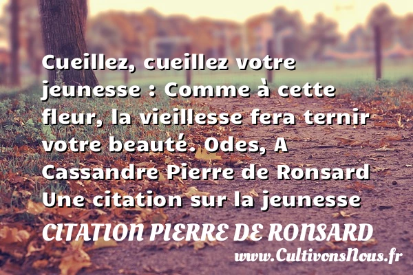 Cueillez, cueillez votre - Citation Pierre de Ronsard - Citations - Citation Jeunesse