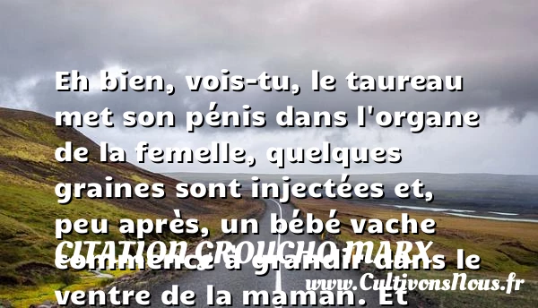 Eh bien, vois-tu, le taureau - Citation Groucho Marx - Citation bébé - Citation maman