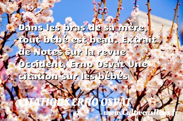 Dans les bras de sa mère, tout - Citations Erno Osvàt - Citation bébé