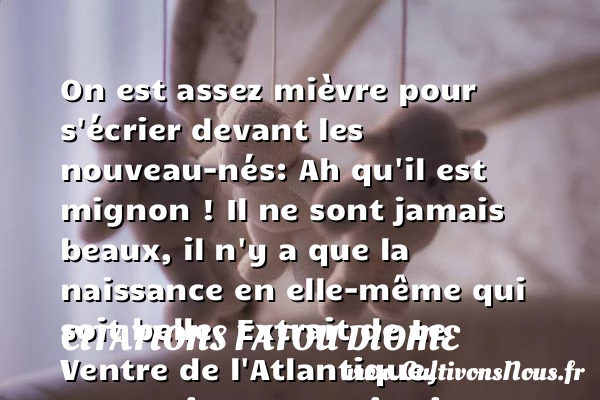 On est assez mièvre pour s’écrier - Citations Fatou Diome - citation naissance