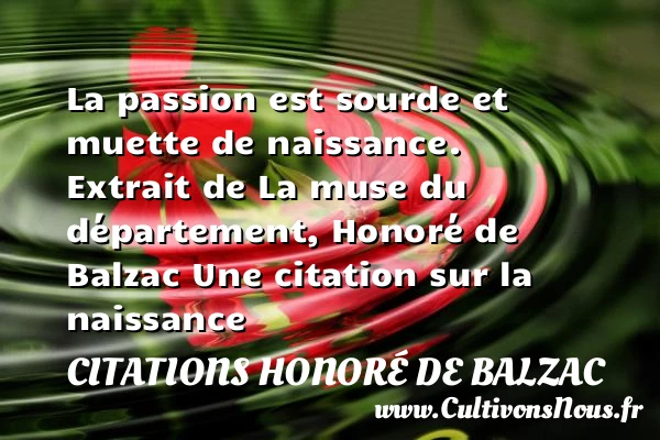La passion est sourde et muette - Citations Honoré de Balzac - citation naissance