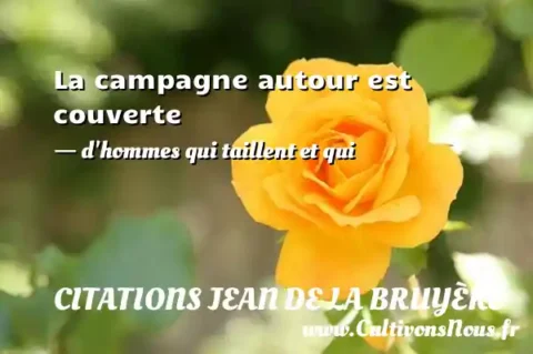 La campagne autour est couverte - d hommes qui taillent et qui CITATIONS JEAN DE LA BRUYÈRE