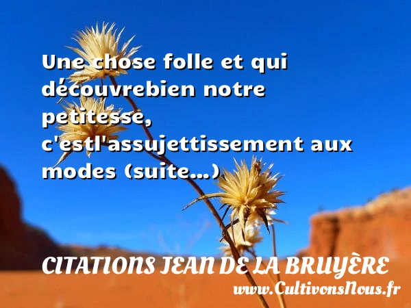 Une chose folle et qui découvre - Citations Jean de La Bruyère