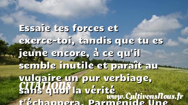 Essaie tes forces et - Citations - Citations Platon - Antiquité - Citation philosophie - philosophe