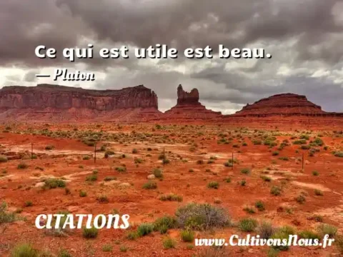 Ce qui est utile est beau. - Platon CITATIONS