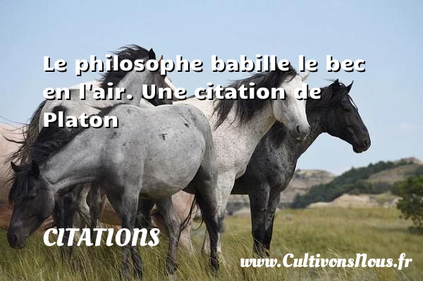 Le philosophe babille le bec - Citations - Citations Platon - Antiquité - Citation philosophie