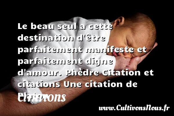 Le beau seul a cette - Citations - Citations Platon - Antiquité - Citation philosophie - philosophe