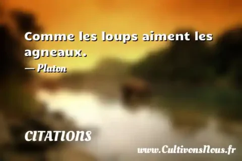 Comme les loups aiment les agneaux. - Platon CITATIONS