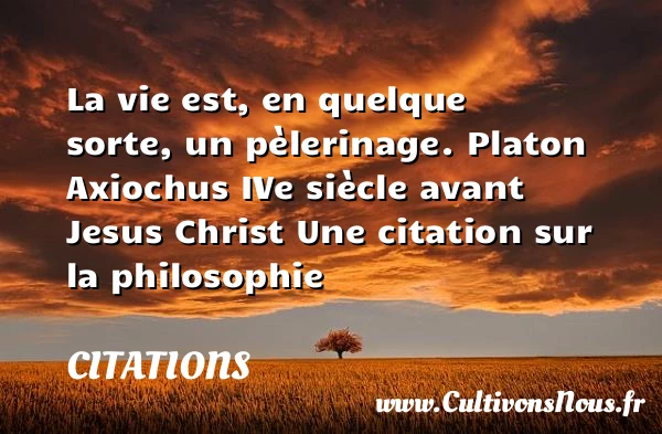 La vie est, en quelque sorte, - Citations - Citations Platon - Antiquité - Citation philosophie - philosophe