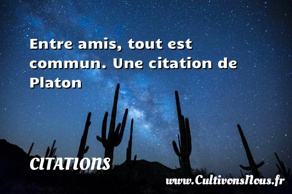 Entre amis, tout est commun. - Citations - Citations Platon - Antiquité - Citation philosophie - philosophe